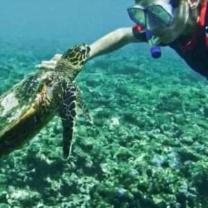 Explore Seychelles Experience 4D/3N (5 destinations) for 4 days with Across Africa Tours & Travel and discover unforgettable experiences - Photo 2