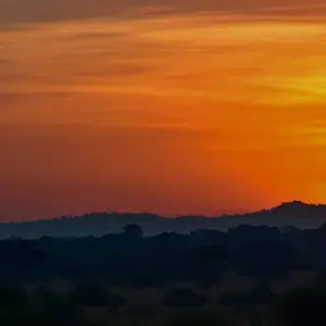 Explore 4Days/3Nights Serengeti, Ngorongoro & Lake Manyara for 4 days with Across Africa Tours & Travel and discover unforgettable experiences - Photo 8