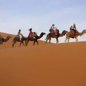 Explore 3 Days Desert Tour from Marrakech to Fes for 3 days with Across Africa Tours & Travel and discover unforgettable experiences - Photo 2