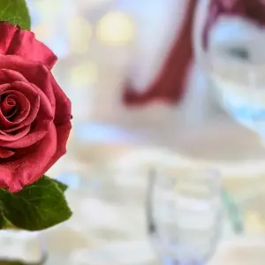 Explore Seychelles Honeymoon Package 6D/5N ( Comfort Plus) for 7 days with Across Africa Tours & Travel and discover unforgettable experiences - Photo 2