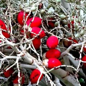 Explore Seychelles Family Holiday Package 7D/6N ( Comfort) for 7 days with Across Africa Tours & Travel and discover unforgettable experiences - Photo 3