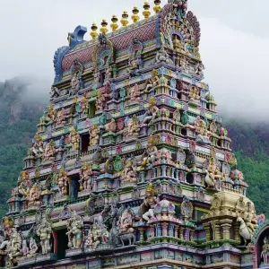 Explore Seychelles Family Holiday Package 7D/6N ( Comfort Plus) for 7 days with Across Africa Tours & Travel and discover unforgettable experiences - Photo 5