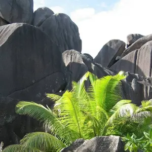 Explore Seychelles Experience 4D/3N for 4 days with Across Africa Tours & Travel and discover unforgettable experiences - Photo 7