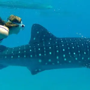 Explore Seychelles Experience 4D/3N (5 destinations) for 4 days with Across Africa Tours & Travel and discover unforgettable experiences - Photo 8