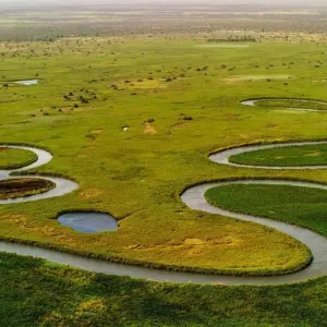 Explore Best Kasane Experience 4 Day 3Nights for 4 days with Across Africa Tours & Travel and discover unforgettable experiences - Photo 2