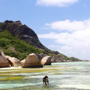 Explore Seychelles Family Holiday Package 7D/6N ( Comfort Plus) for 7 days with Across Africa Tours & Travel and discover unforgettable experiences - Photo 6