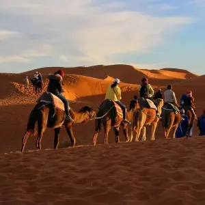 Explore 2 Days / 1 Nights, Fes to Fes Desert Tour for 2 days with Across Africa Tours & Travel and discover unforgettable experiences - Photo 9