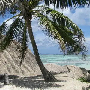 Explore Seychelles Experience 4D/3N for 4 days with Across Africa Tours & Travel and discover unforgettable experiences - Photo 10