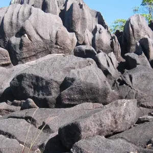 Explore Seychelles Experience 4D/3N ) for 4 days with Across Africa Tours & Travel and discover unforgettable experiences - Photo 4