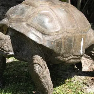 Explore Seychelles Experience 4D/3N ) for 4 days with Across Africa Tours & Travel and discover unforgettable experiences - Photo 5