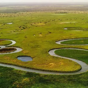 Explore Maun Highlights Safari 3Days/2Nights (Comfort) for 3 days with Across Africa Tours & Travel and discover unforgettable experiences - Photo 4