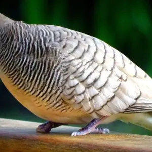 Explore Seychelles Experience 4D/3N ) for 4 days with Across Africa Tours & Travel and discover unforgettable experiences - Photo 6