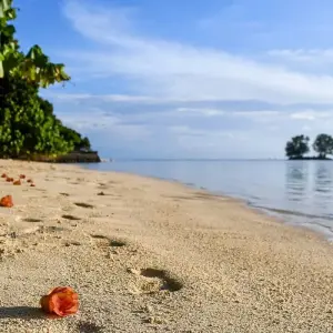 Explore Seychelles Experience 4D/3N ) for 4 days with Across Africa Tours & Travel and discover unforgettable experiences - Photo 7