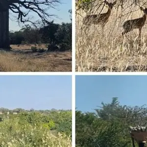 Explore South Angola Experience 4D/3N (Comfort) for 4 days with Across Africa Tours & Travel and discover unforgettable experiences - Photo 3