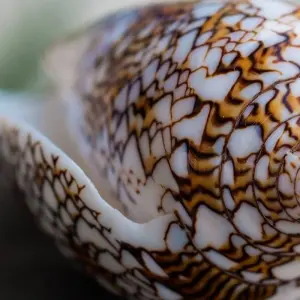 Explore Seychelles Experience 4D/3N ) for 4 days with Across Africa Tours & Travel and discover unforgettable experiences - Photo 8