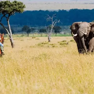 Explore Maun Highlights Safari 3Days/2Nights (Comfort) for 3 days with Across Africa Tours & Travel and discover unforgettable experiences - Photo 8
