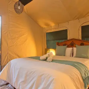 Explore Maun Highlights Safari 3Days/2Nights (Comfort) for 3 days with Across Africa Tours & Travel and discover unforgettable experiences - Photo 9