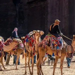 Explore 4 Days / 3 Nights Petra, Jerash and Amman Adventure for 4 days with Across Africa Tours & Travel and discover unforgettable experiences - Photo 3
