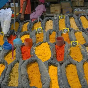 Explore 3 Days 2 Nights Maputo Special Reserve for 3 days with Across Africa Tours & Travel and discover unforgettable experiences - Photo 2