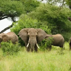 Explore 14 Days Camping Lovers and Social Extension for 14 days with Across Africa Tours & Travel and discover unforgettable experiences - Photo 3