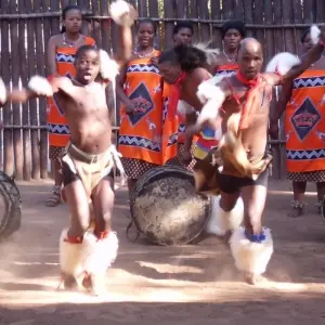 Explore Cultural Swaziland, Mlilwane Wildlife Sanctuary and Hlane National Park 3 Days for 3 days with Across Africa Tours & Travel and discover unforgettable experiences - Photo 3