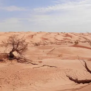 Explore Desert Tour Kairouan to El Jem 3D/ 2N for 3 days with Across Africa Tours & Travel and discover unforgettable experiences - Photo 5