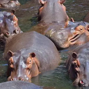 Explore 3 Days 2 Nights Maputo Special Reserve for 3 days with Across Africa Tours & Travel and discover unforgettable experiences - Photo 3