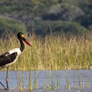 Explore 14 Days Camping Lovers and Social Extension for 14 days with Across Africa Tours & Travel and discover unforgettable experiences - Photo 4