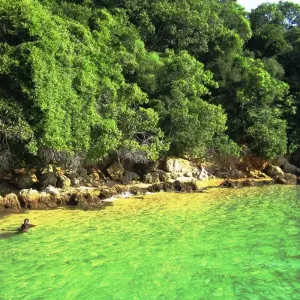 Explore 3 Days 2 Nights Maputo Special Reserve for 3 days with Across Africa Tours & Travel and discover unforgettable experiences - Photo 4