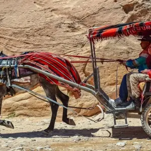 Explore 4 Days / 3 Nights Petra, Jerash and Amman Adventure for 4 days with Across Africa Tours & Travel and discover unforgettable experiences - Photo 7