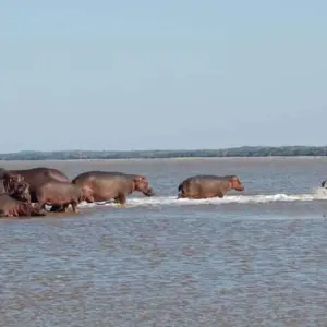 Explore 14 Days Camping Lovers and Social Extension for 14 days with Across Africa Tours & Travel and discover unforgettable experiences - Photo 5