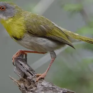 Explore 3 Days 2 Nights Maputo Special Reserve for 3 days with Across Africa Tours & Travel and discover unforgettable experiences - Photo 6