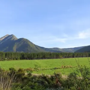 Explore Garden Route & Addo Adventure 9 Days/ 8 Nights ( Comfort) for 9 days with Across Africa Tours & Travel and discover unforgettable experiences - Photo 3