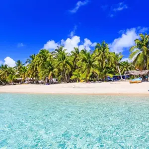 Explore Combined Gabon and Sao Tome Principe Tour for 13 days with Across Africa Tours & Travel and discover unforgettable experiences - Photo 5
