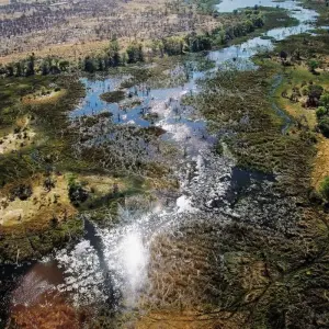 Explore 4 Days 3 Nights Inner Delta Mokoro Safari( Budget) for 4 days with Across Africa Tours & Travel and discover unforgettable experiences - Photo 3