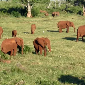 Explore Thula Thula Game Reserve Experience 3Day/2nights for 3 days with Across Africa Tours & Travel and discover unforgettable experiences - Photo 5