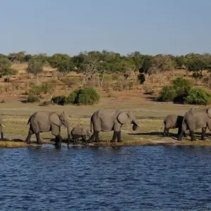 Explore 4 Days 3 Nights Inner Delta Mokoro Safari( Budget) for 4 days with Across Africa Tours & Travel and discover unforgettable experiences - Photo 6