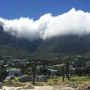 Explore Garden Route & Addo Adventure 9 Days/ 8 Nights ( Comfort) for 9 days with Across Africa Tours & Travel and discover unforgettable experiences - Photo 9