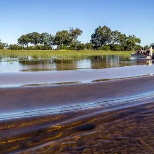 Explore 4 Days 3 Nights Inner Delta Mokoro Safari( Budget) for 4 days with Across Africa Tours & Travel and discover unforgettable experiences - Photo 8