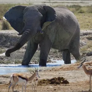 Explore Namibia North To South Adventure17 Days/16 nights ( Comfort Plus) for 17 days with Across Africa Tours & Travel and discover unforgettable experiences - Photo 6