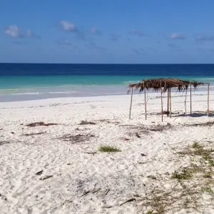 Explore VILANCULOS TO MAPUTO 6NIGHTS/7 DAYS for 7 days with Across Africa Tours & Travel and discover unforgettable experiences - Photo 5