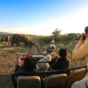 Explore Thula Thula Game Reserve Experience 4Day/3nights ( Comfort) for 4 days with Across Africa Tours & Travel and discover unforgettable experiences - Photo 6