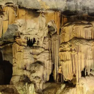 Explore Klein Karoo, Garden Route and Addo shore Excursion 3Days/2Nights for 3 days with Across Africa Tours & Travel and discover unforgettable experiences - Photo 2