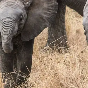 Explore Oudtshoorn Adventure Safari 5Days/ 4Nights for 5 days with Across Africa Tours & Travel and discover unforgettable experiences - Photo 6