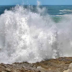 Explore Route 62, Garden Route and Big-5 Safari 7 Days/ 6 Nights (Comfort) for 7 days with Across Africa Tours & Travel and discover unforgettable experiences - Photo 7