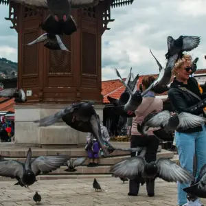 Explore The Ultimate Balkans: 8 Countries in 15 Days – Discover Bulgaria, Serbia, Bosnia & Herzegovina, Croatia, Montenegro, Kosovo, Albania and North Macedonia for 15 days with Adventure Bound LTD and discover unforgettable experiences - Photo 5