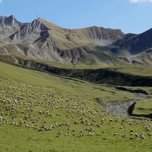 Explore Caucasus Group Tour - Georgia, Armenia, and Azerbaijan for 16 days with Advantour Caucasus and discover unforgettable experiences - Photo 11