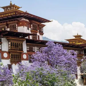 Explore Nepal Tibet Bhutan Tour-18 days for 18 days with Adventure Himalayan Travels and discover unforgettable experiences - Photo 2