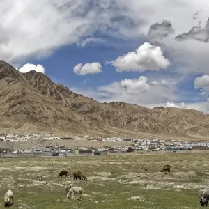 Explore Pamir Highway Tour: Dushanbe to Osh Overland Adventure Through Tajikistan & Kyrgyzstan for 8 days with Adventure Bound LTD and discover unforgettable experiences - Photo 7