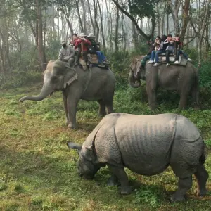 Explore Nepal Bhutan Cultural Heritage and Nature Experiences Tour-13 Days for 13 days with Adventure Himalayan Travels and discover unforgettable experiences - Photo 5